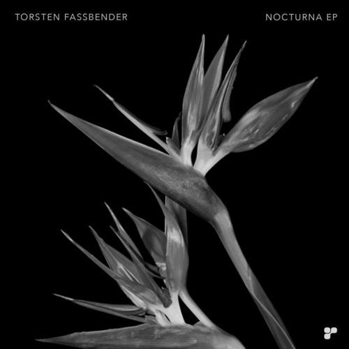 Torsten Fassbender - Nocturna [PLATMU117]